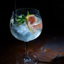 SPANISH GIN TONIC