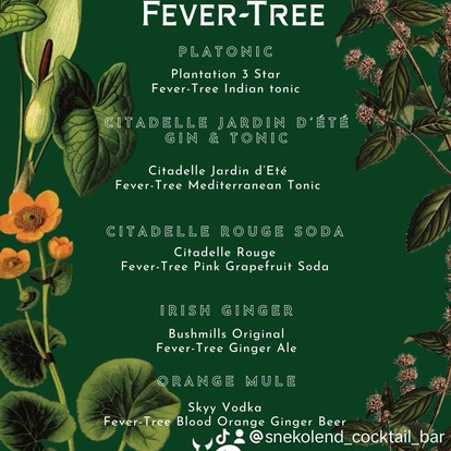 GUEST BARTENDING  &  FEVER - TREE